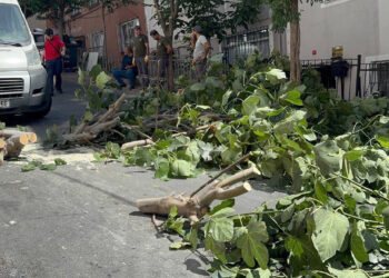 İstanbul'u Fırtına Vurdu: Ağaçlar Devrildi, 2 Kişi Yaralandı