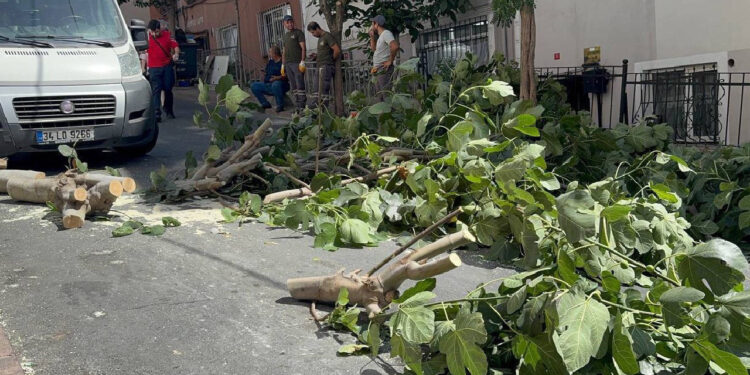 İstanbul'u Fırtına Vurdu: Ağaçlar Devrildi, 2 Kişi Yaralandı