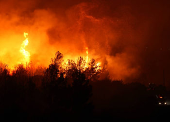 İzmir Buca'daki orman yangını ikinci gününde kontrol altına alındı