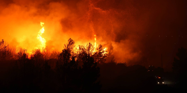 İzmir Buca'daki orman yangını ikinci gününde kontrol altına alındı