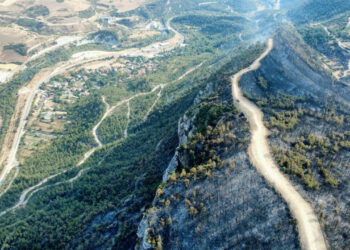 Karabük İki Gündür Yanıyor: Yemyeşil Ormanlar Küle Döndü