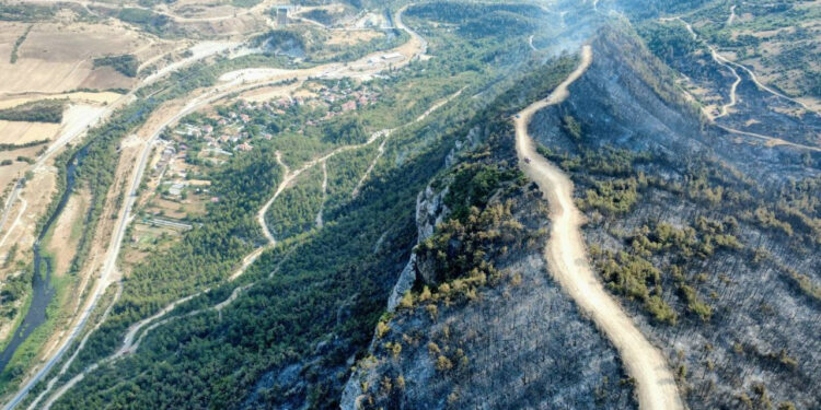 Karabük İki Gündür Yanıyor: Yemyeşil Ormanlar Küle Döndü