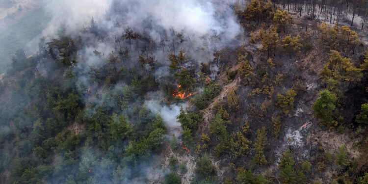 Karabük'te Orman Yangını! Kara Yolu Tehdit Altında