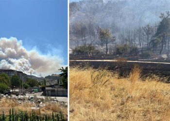 Kozanlı Mahallesi tahliye edildi, 1 kişi gözaltında