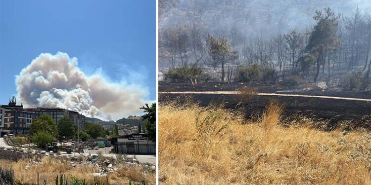 Kozanlı Mahallesi tahliye edildi, 1 kişi gözaltında