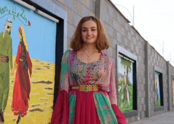 Kürt kültürü ve tarihini 'duvarlara' nakşetti