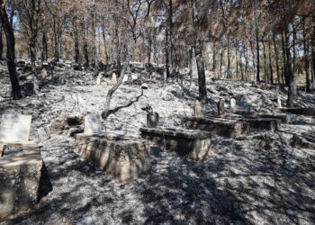 Mersin’de Yangın Sonrası Yürek Burkan Görüntü! Evler Yandı, Mezarlar Kül Oldu