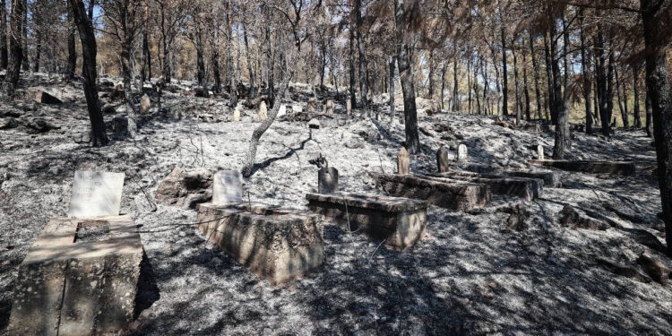 Mersin’de Yangın Sonrası Yürek Burkan Görüntü! Evler Yandı, Mezarlar Kül Oldu