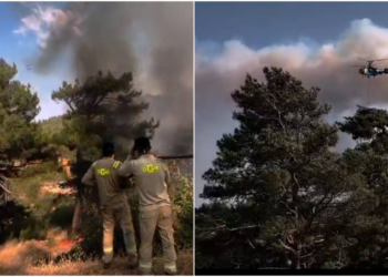 Mersin'deki orman yangını 2. gününde