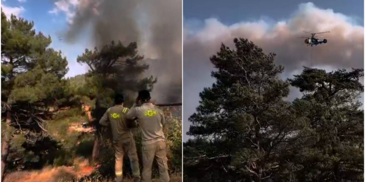 Mersin'deki orman yangını 2. gününde