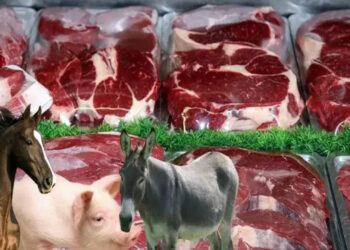 O Ürünleri Sakın Ağzınıza Sürmeyin! Tarım Bakanlığı’ndan Tüketiciye Uyarı: O Et Ürünlerinde Domuz ve Sakatat Tespit Edildi