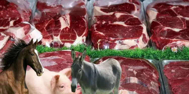 O Ürünleri Sakın Ağzınıza Sürmeyin! Tarım Bakanlığı’ndan Tüketiciye Uyarı: O Et Ürünlerinde Domuz ve Sakatat Tespit Edildi