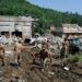 Haber Merkezi TR724