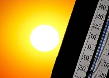 Portekiz’de aşırı sıcaklar: Bir haftada 264 kişi hayatını kaybetti