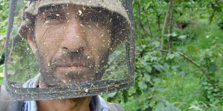 Sadece 15 Gün Çalışıyorlar, Günlük 6 Bin TL Kazanıyorlar! Cebinden 1 Kuruş Çıkmadan Maaşını Alıyorlar