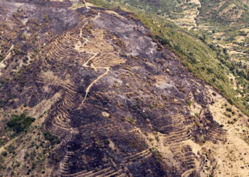 Şarköy'deki Yangına İlişkin Soruşturmada Yeni Gelişme