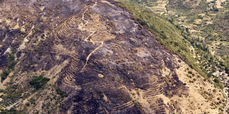 Şarköy'deki Yangına İlişkin Soruşturmada Yeni Gelişme