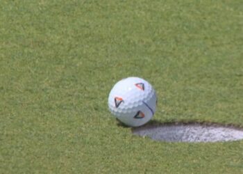 Sineğin yardımıyla 900 bin dolar kazandı