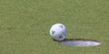 Sineğin yardımıyla 900 bin dolar kazandı