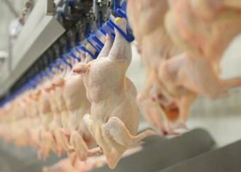 Suriye, Türkiye'den dondurulmuş piliç dahil 20 ürünün alımını süresiz yasakladı