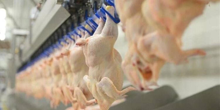 Suriye, Türkiye'den dondurulmuş piliç dahil 20 ürünün alımını süresiz yasakladı