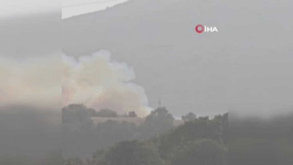 Susurluk'ta Orman Yangını