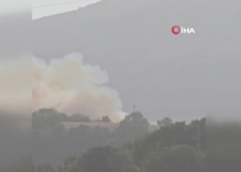 Susurluk'ta Orman Yangını