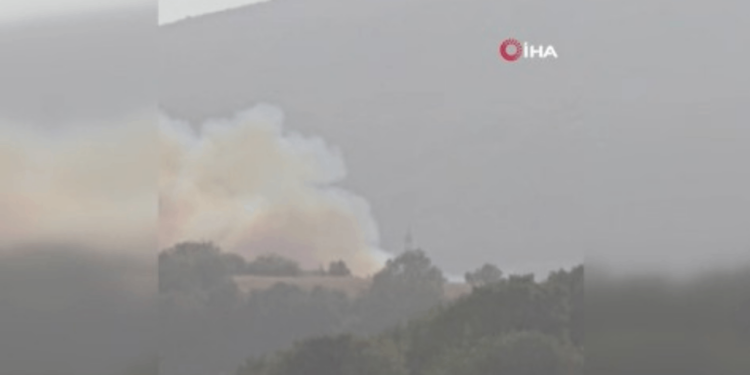 Susurluk'ta Orman Yangını