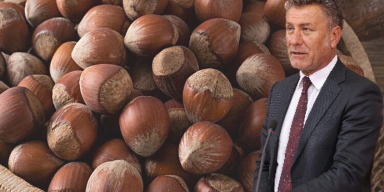 TMO, fındıkta açıkladığı 190-200 TL'lik alım fiyatıyla üreticiye zararına satış dayatıyor