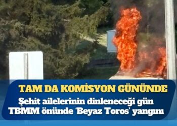 Tam da komisyon gününde: Meclis önünde Beyaz Toros yakma eylemi