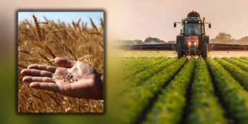 Tarımda Yeni Dönem! Tarlası Olan Herkesi İlgilendiriyor, Hasat Öncesi Sürpriz Düzenleme Yarın Başlıyor