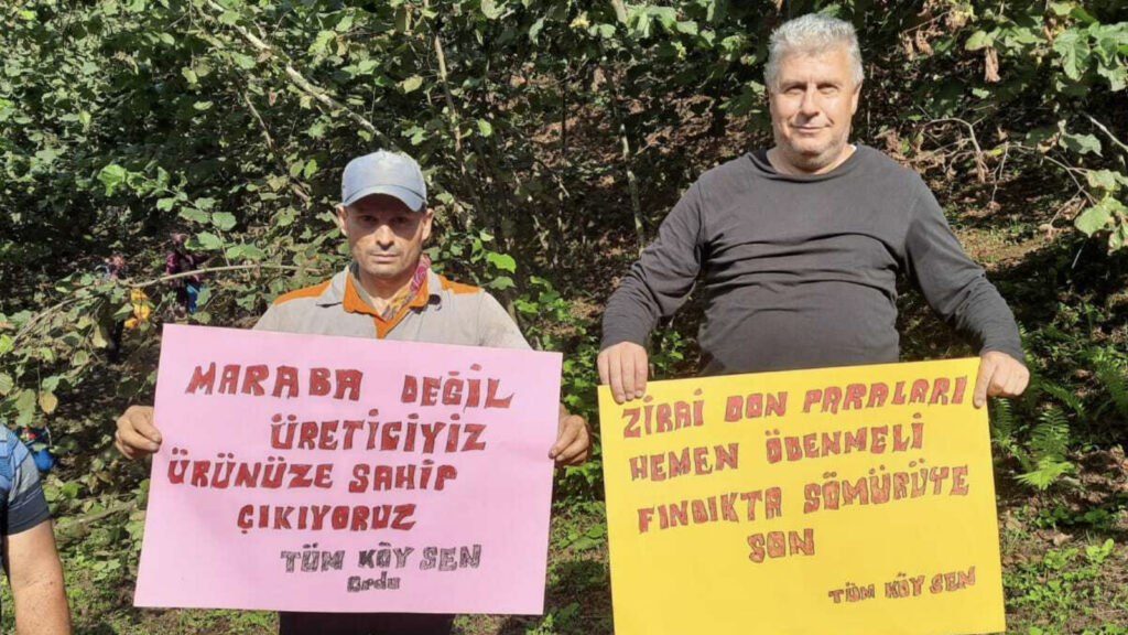 Tekellerin çıkarına hizmet etmektedir, bu kararın arkasında AKP hükûmeti vardır!