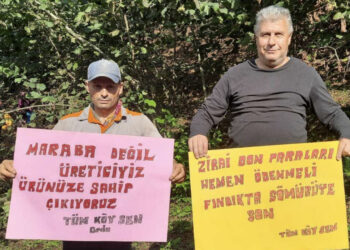 Tekellerin çıkarına hizmet etmektedir, bu kararın arkasında AKP hükûmeti vardır!