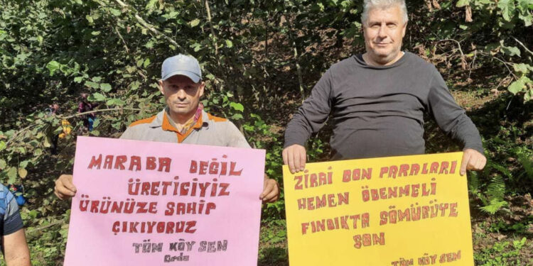 Tekellerin çıkarına hizmet etmektedir, bu kararın arkasında AKP hükûmeti vardır!