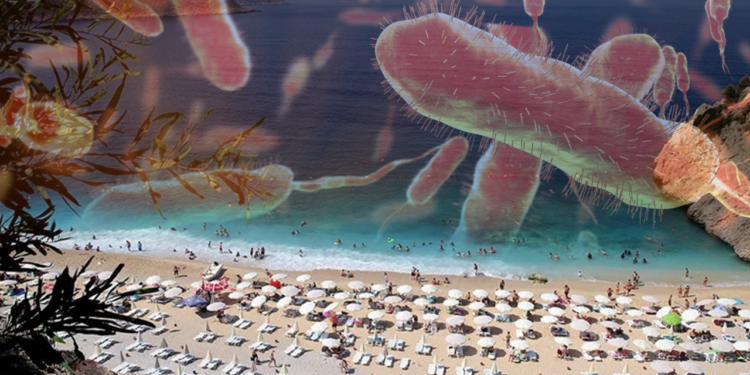 Türkiye'de 'Et Yiyen Bakteri' Var mı? Bakanlıktan Açıklama Geldi