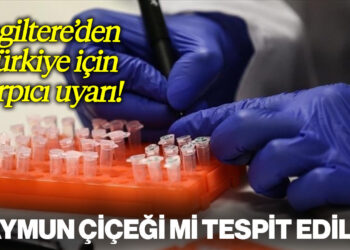 Türkiye'de Maymun Çiçeği mi Tespit Edildi?