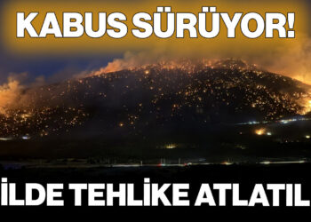 Yangın Kabusu Sürüyor! 2 İlde Tehlike Atlatıldı