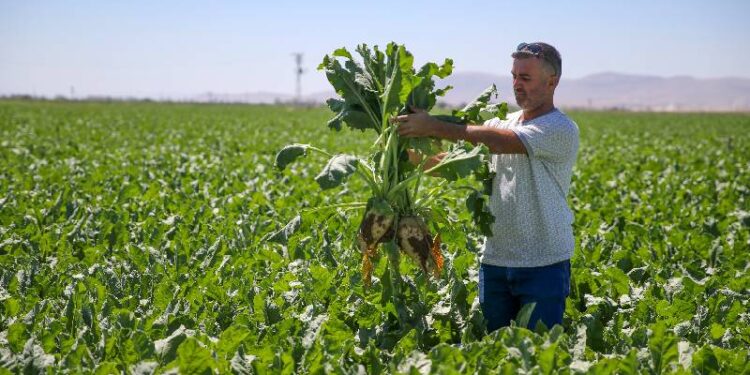 Zirai dondan etkilenen 470 bin üreticiye kasıma kadar 46,5 milyar liralık ödeme yapılacak