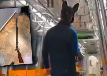 ‘Tüfekli Tavşan’ İstanbul’u Ayağa Kaldırmıştı! İfadesi Ortaya Çıktı