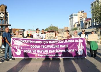Hak savunucuları, Meclis’te hayvan hakları için komisyon istedi