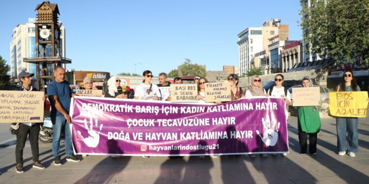 Hak savunucuları, Meclis’te hayvan hakları için komisyon istedi