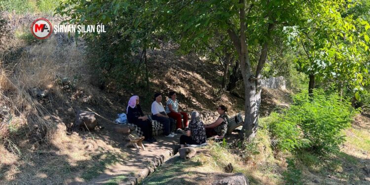 30 yıl sonra yeniden köyünde: Geri dönüşler için çalışma yapılmalı