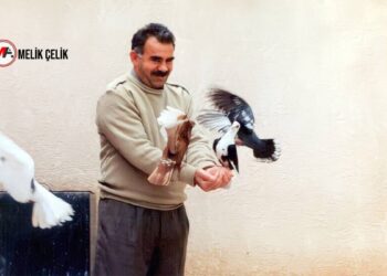 Av. Rengin Ergül: Komitenin atıfta bulunduğu komisyon yasa hazırlamalı