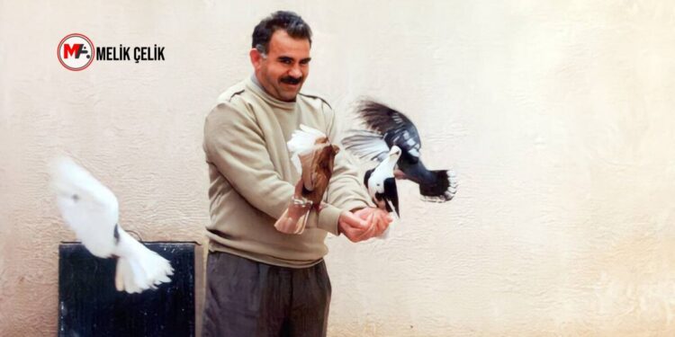 Av. Rengin Ergül: Komitenin atıfta bulunduğu komisyon yasa hazırlamalı