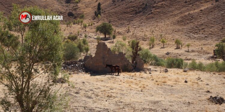 Valilik, 5 yıl 8 aydır bulunmayan Diril’in köyünde festival düzenleyecek