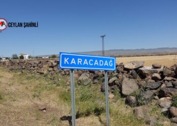 Sêwereg’de 10 ayda en az 11 genç intihara sürüklendi