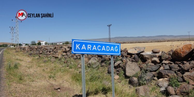 Sêwereg’de 10 ayda en az 11 genç intihara sürüklendi