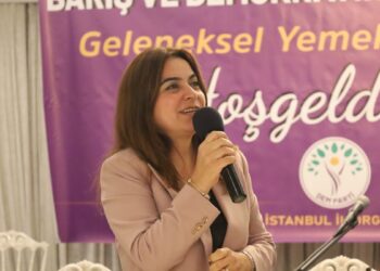‘Komisyon ertelemeden İmralı’ya gitmeli’