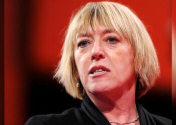 Nobel Barış Ödüllü Jody Williams: Türkiye sürece uygun adımları atmak zorunda