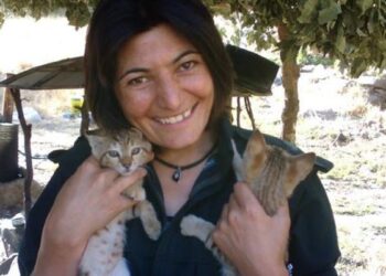 İnsan hakları örgütlerinden Zeyneb Celaliyan’ın tedavi hakkı için çağrı